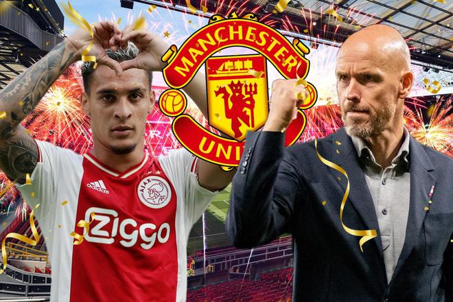 往会激起公 往会激起公