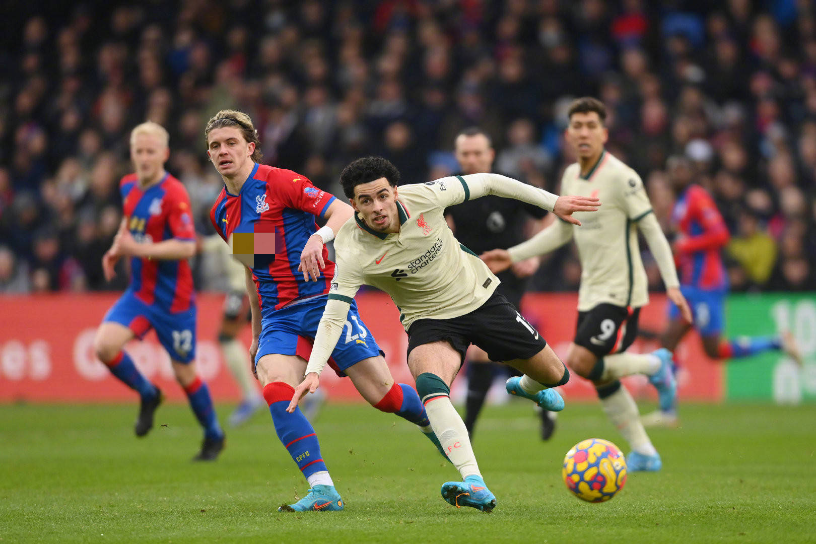 为球队再添 为球队再添